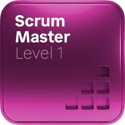 Scrum Master, Level 1