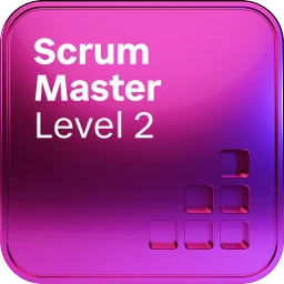 Scrum Master, Level 2