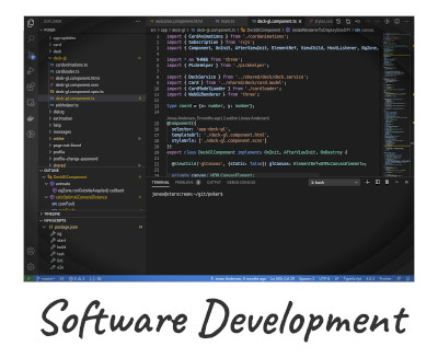 Software development